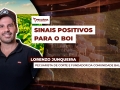 Lorenzo Junqueira - Pecuarista de corte e fundador da comunidade Balcão do Boi