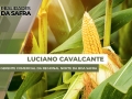Luciano Cavalcante - Gerente Comercial da Regional Norte da Boa Safra