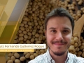 Luiz Fernando Gutierrez Roque - Analista da Consultoria Safras & Mercado