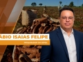 Fábio Isaias Felipe - Pesquisador do Cepea
