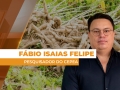 Fábio Isaias Felipe - Pesquisador do Cepea