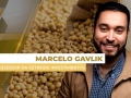 Marcelo Gavlik - Sócio e Assessor da Getreide Investimentos