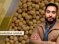 Marcelo Gavlik - Sócio e Assessor de Investimentos da Getreide Investimentos