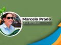 Marcelo Prado