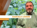 Marcelo Lüders - Presidente do IBRAFE