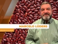 MARCELO LUDERS SITE