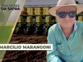 Marcílio Fernandes Marangoni - Engenheiro Agrônomo de Darcinópolis - TO