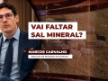 Marcos Carvalho - Analista de Pecuária da Famato