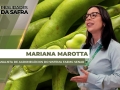 Mariana Marotta - Analista de Agronegócios do Sistema Faemg Senar