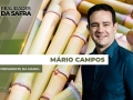 Mário Campos - Presidente da SIAMIG
