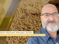 Mário Mariano Moraes Júnior - Diretor Comercial Agrosoya/Novo Rumo Commodities