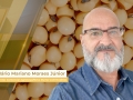 Mário Mariano Moraes Júnior - Diretor Comercial Agrosoya/Novo Rumo Commodities