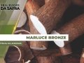 Marluce Bronze - Fiscal da Adepará