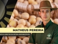 Matheus Pereira - Sócio-Diretor da Pátria Agronegócios