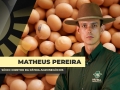 Matheus Pereira - Sócio-Diretor da Pátria Agronegócios