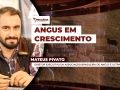Mateus Pivato - Diretor Executivo da Associação Brasileira de Angus e Ultrablack