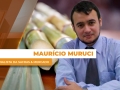 Maurício Muruci - Analista da Safras & Mercado