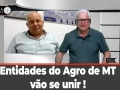 Tempo e dinheiro