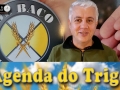 Tempo e Dinheiro, com João Batista Olivi