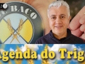 Tempo e Dinheiro, com João Batista Olivi