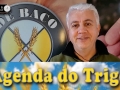 Tempo e Dinheiro, com João Batista Olivi