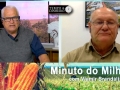 Tempo e Dinheiro