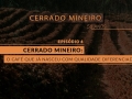 CERRADO MINEIRO 50 ANOS - EP 4: O café que já nasceu com qualidade diferenciada