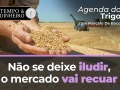 Tempo e Dinheiro