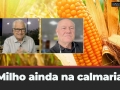 Tempo & Dinheiro