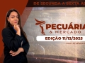Pecuária e Mercado - Programa Completo