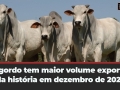 Tempo e Dinheiro
