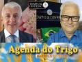 Tempo & Dinheiro