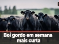Tempo e Dinheiro