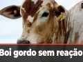 Tempo e Dinheiro