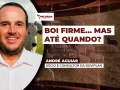 André Aguiar - Sócio e Consultor da Boviplan