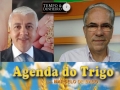 Tempo e Dinheiro