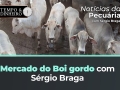 Sérgio braga