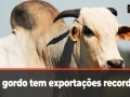 Tempo e Dinheiro