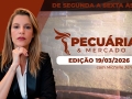 Pecuária e Mercado - Programa Completo