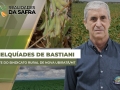 Melquíades de Bastiani - Presidente do Sindicato Rural de  Nova Ubiratã/MT