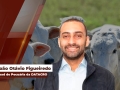 João Otávio Figueiredo - Head de Pecuária da DATAGRO