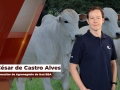 César de Castro Alves - Consultor de Agronegócio do Itaú BBA