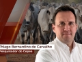 Thiago Bernardino de Carvalho - Pesquisador do Cepea