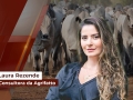 Laura Rezende - Consultora da Agrifatto