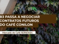 Marcus Magalhães - Diretor Executivo MM Cafés