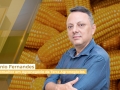 Ênio Fernandes - Consultor em Agronegócio da Terra Agronegócios