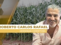Roberto Carlos Rafael - Germinar Corretora