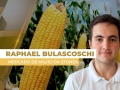 Raphael Bulascoschi - Analista de Inteligência de Mercado de Milho da StoneX