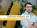 Stefan Podsclan - Consultor de Grãos e Projetos na Agrifatto