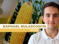 Raphael Bulascoschi - Analista de Inteligência de Mercado de Milho da StoneX